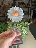 Selenite Daisies