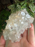 Diamond Apophyllite Cluster
