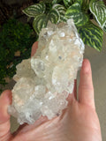 Diamond Apophyllite Cluster