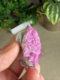 Cobaltoan Calcite