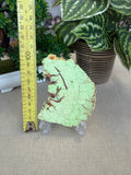 Lemon Chrysoprase
