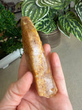 Kauri Gum