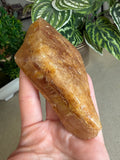 Kauri Gum