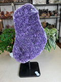 Amethyst Cluster on stand