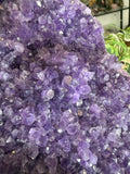 Amethyst Cluster on stand