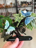 Fairy with Butterflies