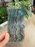Fluorite Slice 290g