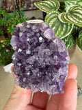 Amethyst Geodes