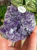Amethyst Geodes