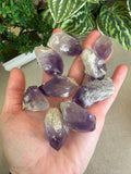 Amethyst Teeth