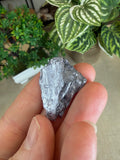 Molybdenite