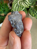 Molybdenite