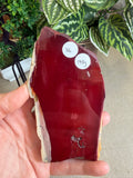 Mookaite Slices