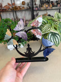 Butterflies with Meditating Lady