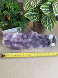 Faden Amethyst Cluster