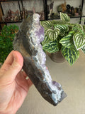 Faden Amethyst Cluster
