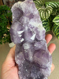Faden Amethyst Cluster