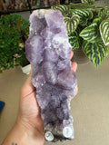 Faden Amethyst Cluster