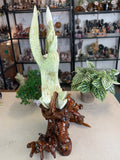 Green Jade Phoenix with custom stand