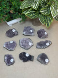 Amethyst Clusters