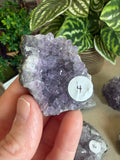 Amethyst Clusters