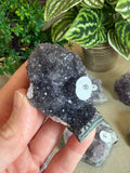 Amethyst Clusters