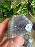Amethyst Clusters