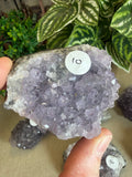 Amethyst Clusters