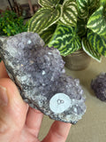 Amethyst Clusters