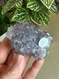 Amethyst Clusters