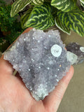 Amethyst Clusters