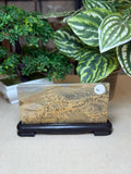 Picture Jasper Slice