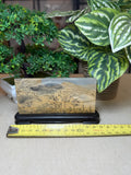 Picture Jasper Slice