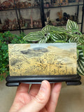 Picture Jasper Slice