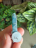 Ocean Kyanite
