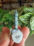 Ocean Kyanite