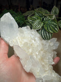 Quartz Cluster 1.2kgs