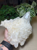 Quartz Cluster 1.2kgs