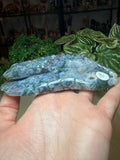 Moss Agate Lizard