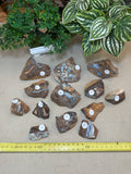 Raw Boulder Opal from Quilpie
