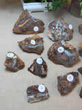 Raw Boulder Opal from Quilpie