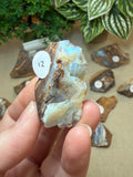 Raw Boulder Opal from Quilpie