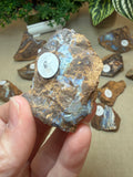 Raw Boulder Opal from Quilpie