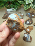 Raw Boulder Opal from Quilpie