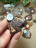 Raw Boulder Opal from Quilpie