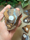 Raw Boulder Opal from Quilpie