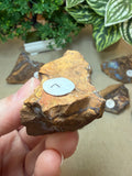 Raw Boulder Opal from Quilpie