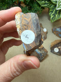Raw Boulder Opal from Quilpie