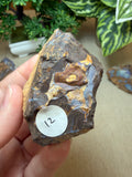 Raw Boulder Opal from Quilpie