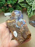 Raw Boulder Opal from Quilpie